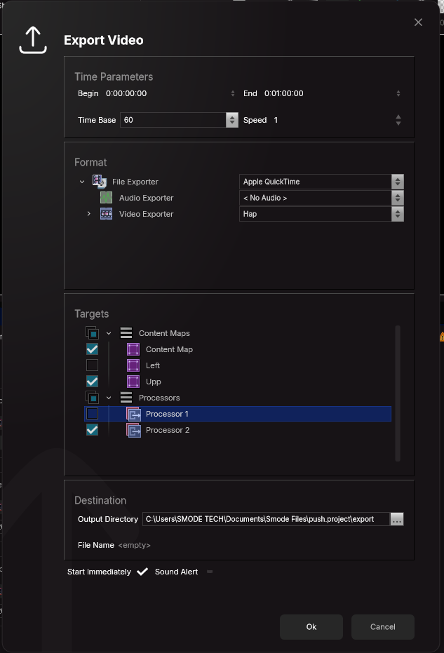 Project Video export